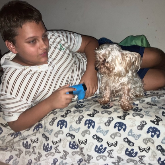 Meet your Posher, Tree and family - Picture 8 of 15